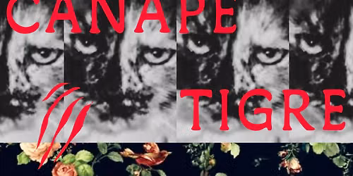 Canap\u00e9 Tigre DJ set