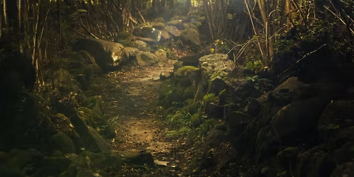 BearCat, INVT, La Goony in New York