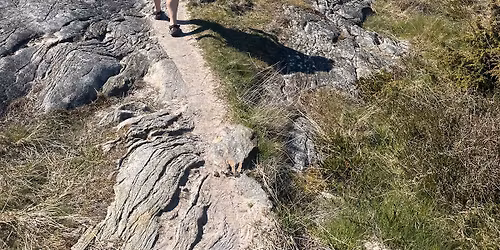 Yogavandring p\u00e5 Br\u00e4nn\u00f6 