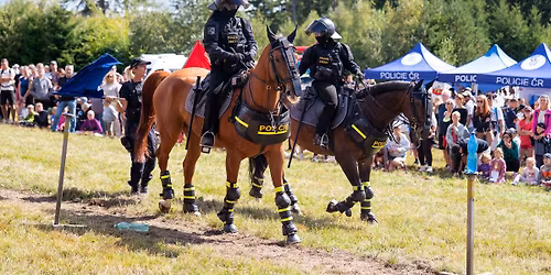 Den s integrovan\u00fdm z\u00e1chrann\u00fdm syst\u00e9mem