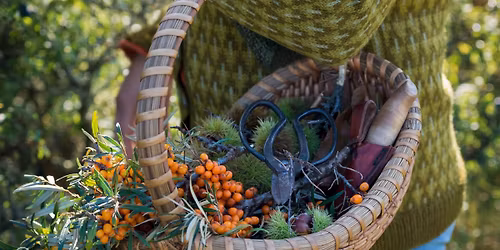 Urban Foraging