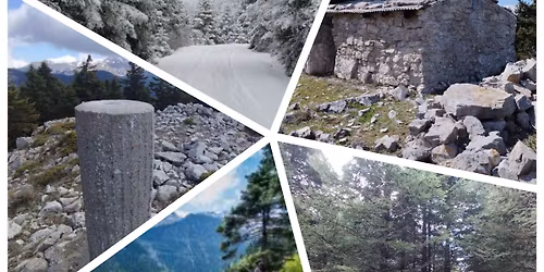 \u03a0\u03b1\u03c1\u03bd\u03b1\u03c3\u03c3\u03cc\u03c2: \u039c\u03bf\u03bd\u03bf\u03c0\u03ac\u03c4\u03b9 \u0386\u03c1\u03c4\u03b5\u03bc\u03b9\u03c2 - \u03ba\u03bf\u03c1\u03c5\u03c6\u03ae \u03a0\u03c5\u03c1\u03b3\u03ac\u03ba\u03b9\u03b1 1719\u03bc.- \u0392\u03b1\u03c1\u03ba\u03cc.