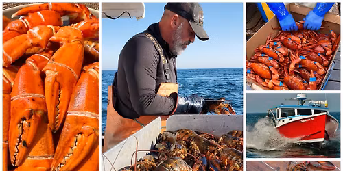 8lbs of Seafood for $99! LIVE Gulf of MAINE LOBSTER & ATLANTIC CRAB CLAW SALE! Cuyahoga County Fair!