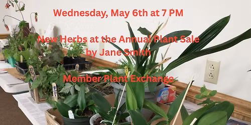 C-U Herb Society May Meeting (Preview of Herb Sale and Plant Swap)
