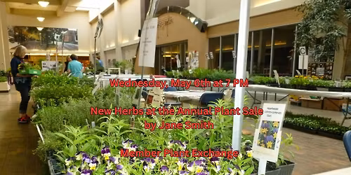 Herb Sale Preview and Plant Swap (C-U Herb Society May Meeting)