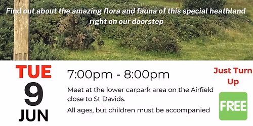 Rebel Botanists - Walk, Talk & Chalk!