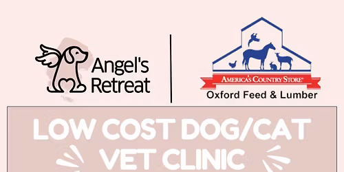 LOW COST DOG\/CAT VET CLINIC \ud83d\udc89\ud83d\udc36
