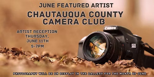 June Featured Artist: Chautauqua County Camera Club