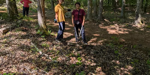 Stewardship Workday: Tree of Heaven Removal at the Confluence