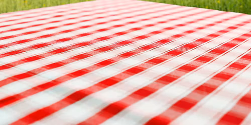 The Big Picnic at Riverwalk Park (free)