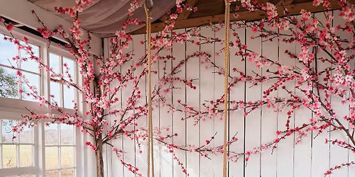 Cherry Blossom Mother's Day Minis!