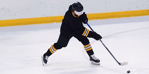 Green Bay Gamblers at Waterloo Black Hawks