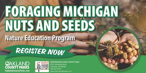 Foraging Michigan Nuts and Seeds