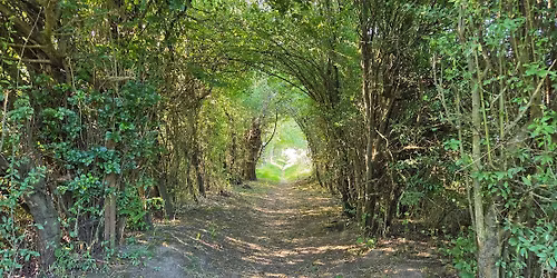 Jogging Erpent Village 3i\u00e8me \u00e9dition (Challenge ville de Namur)