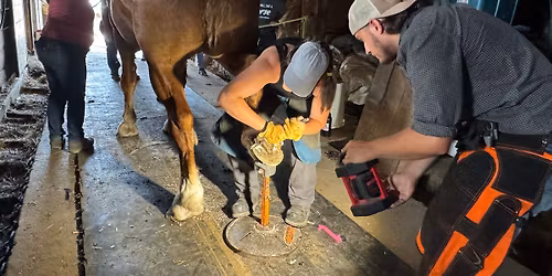 Hoof Trimming Clinic - Fraser-Fort George BC - June 18-21, 2026