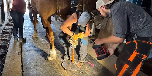 Hoof grooming and horse health clinic - Fraser-Fort George BC - June 18-21, 2026