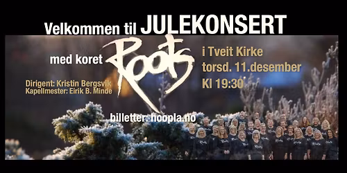 Julekonsert med ROOTS