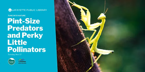 \t Tune into Nature: Pint-Size Predators and Perky Little Pollinators