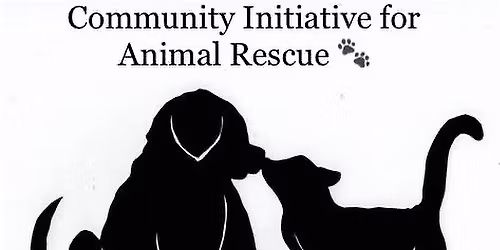 Fundraiser in support of Animal Rescue