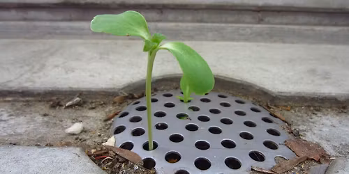 Resilienzkurs: Innere St\u00e4rke f\u00fcr Freiwillige