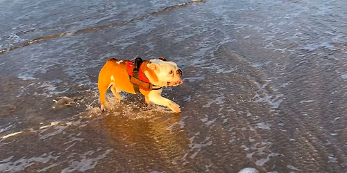 EF\u2019n Spring Walk (North East)