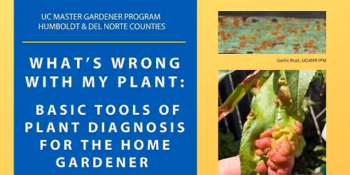 Master Gardener Speakers Series: What's Wrong with my Plant?