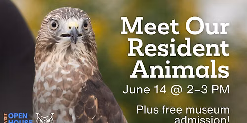 Meet Our Resident Animals