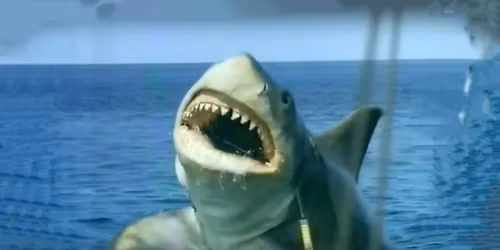 November Horror Friday Double Feature