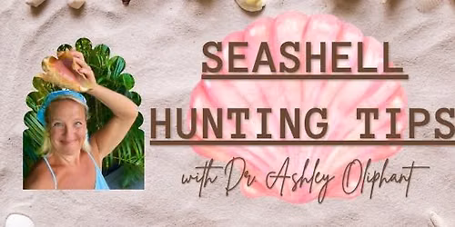 Seashell Hunting Tips with Dr. Ashley Oliphant