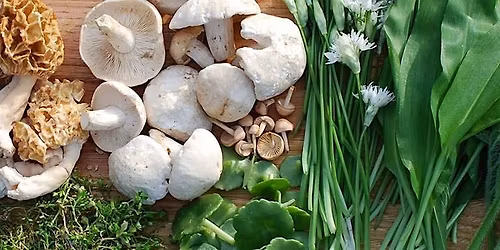 The Foraged Flavors of Spring Wine Dinner