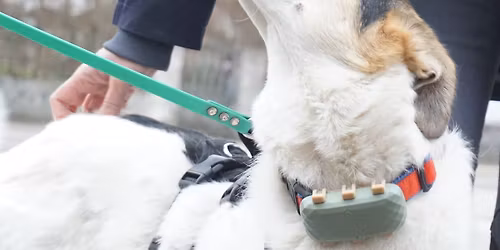 K\u00f6rpersprache & Trailflow