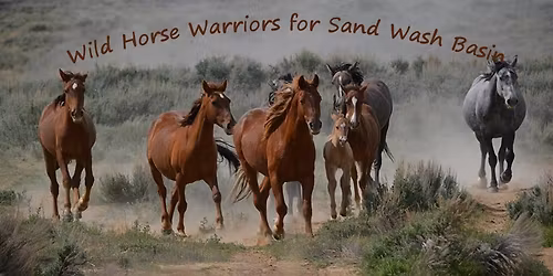 Foster to Adopt Adoption