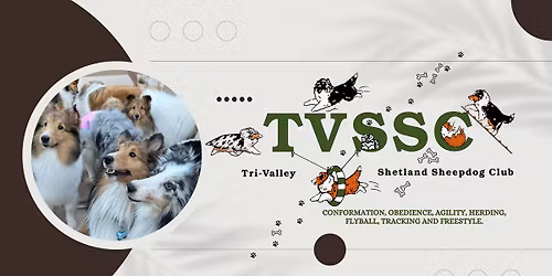 TVSSC agility trial