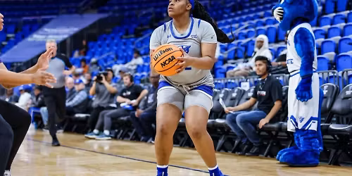 Georgia State Panthers at Furman Lady Paladins Womens Basketball