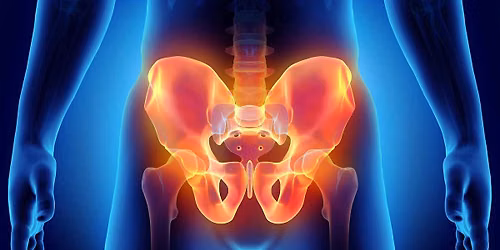 Your Nervous System & Pelvic Floor Connection