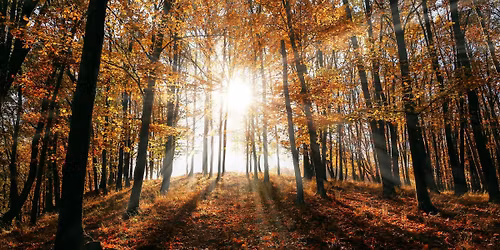 Atelier - Mieux respirer et mieux vivre