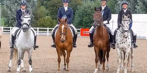 Flatwork with Vic Powell