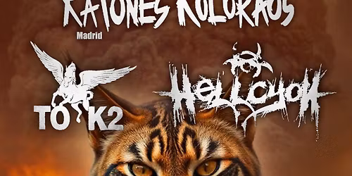 IV FELINO ROCK 2025
