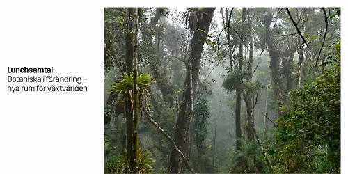 Lunchsamtal: Botaniska i f\u00f6r\u00e4ndring \u2013 nya rum f\u00f6r v\u00e4xtv\u00e4rlden