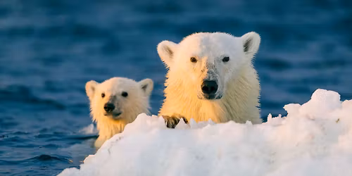 Polar Bear Dip @ Kinap - New Year's Day!