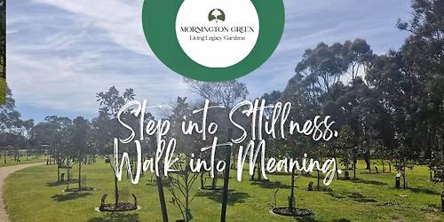 Step Into Stillness, Walk Into Meaning