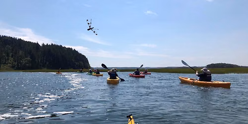 CraneOutdoors: Kayak Adventure on the Castle Neck River