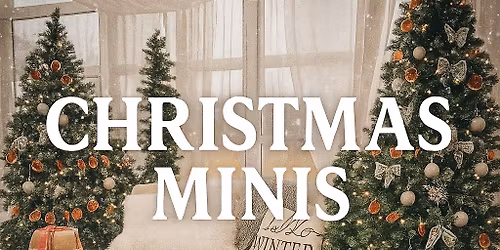 Christmas Mini's