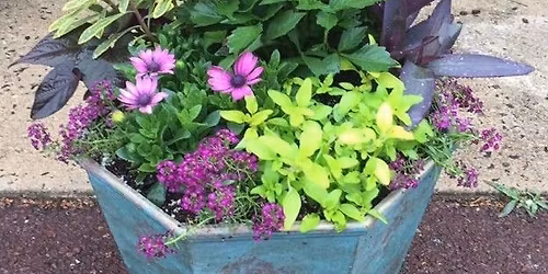 Summer Container Workshop 1