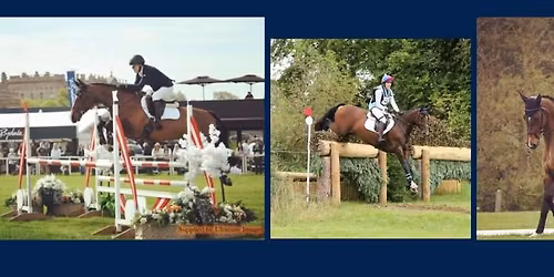 Winter Eventing Training Day at Somerford