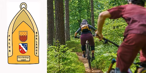Falun\u2013Borl\u00e4nge MTB-cykellopp