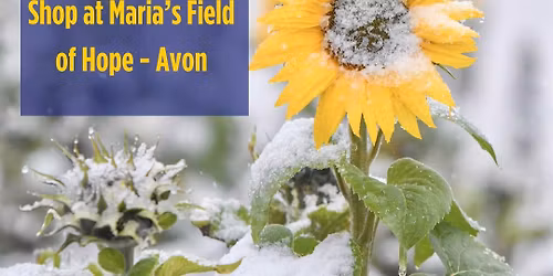 Maria's Christmas Shop