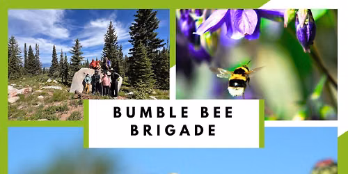 Bumble Bee Brigade - Yampa River Botanic Park