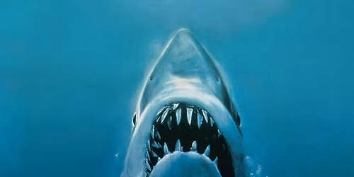 Film Course: 1975 on Film