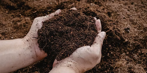 Building Living Soil